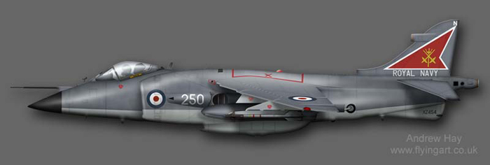 Sea Harrier FRS.1 XZ454 800 NAS